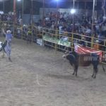 Familias estelianas disfrutaron de las noches taurinas esteli