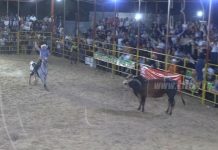 Familias estelianas disfrutaron de las noches taurinas esteli