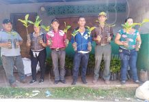 Productores de Nueva Guinea reciben nuevos insumos para plantaciones nicaragua