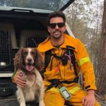 Taylor, la perra que rescata koalas de los incendios en Australia australia