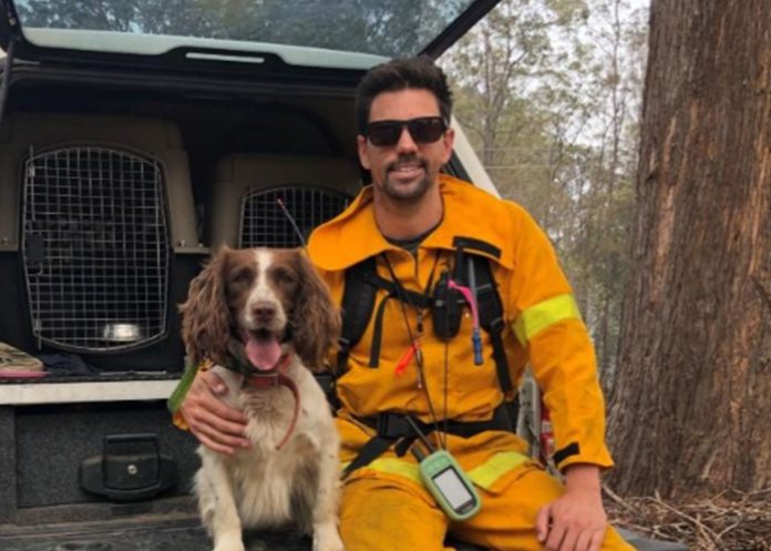 taylor_ZylvV7M australia