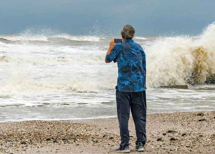 teddy-bermudas atlantico