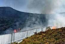 Inventan tela sintética que salvará vidas en incendios forestales inventan