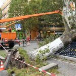 Alemania recupera la normalidad tras temporal que dejó ocho muertos
