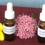 Terapia floral para curar «enfermedades del alma» en Nicaragua nicaragua