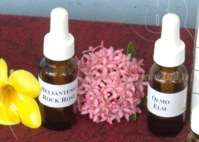 terapia-floral-3 nicaragua
