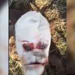 ¡Impresionante! Nace ternero con cara de humano argentina