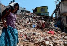 Actividad sísmica en el Anillo de Fuego desata alarmas de un Mega terremoto actividad sismica
