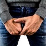 El pene necesita algo más que testículos y testosterona para su desarrollo pene