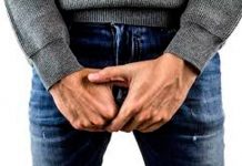 El pene necesita algo más que testículos y testosterona para su desarrollo pene
