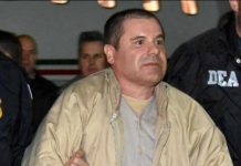 Tres narcos describen cómo es trabajar con «El Chapo» Guzmán estados unidos