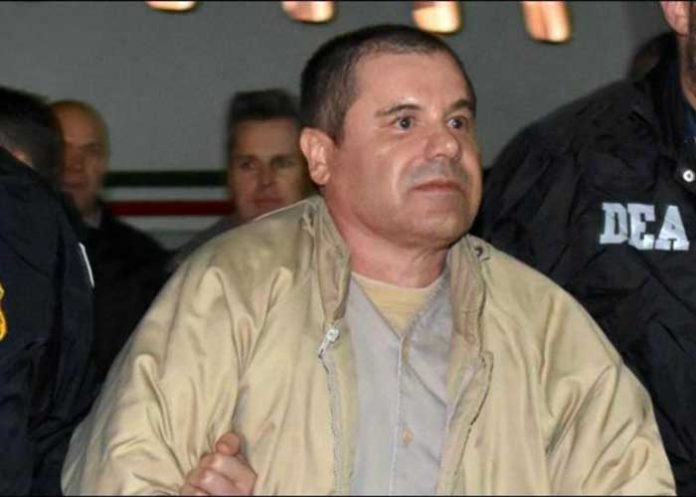 testigos estados unidos