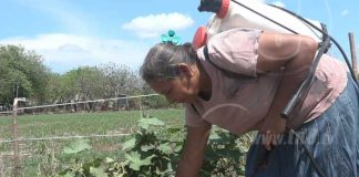 nicaragua