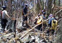 Sofocan incendio en Refugio de Vida Silvestre en Ometepe nicaragua
