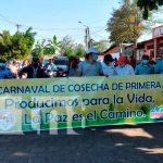 nicaragua, tipitapa, ciclo agrícola, productores,