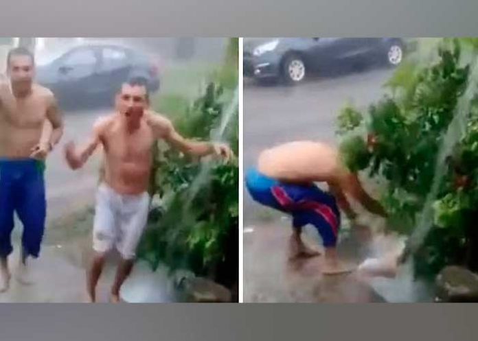 tobo_W2xAdlU familia