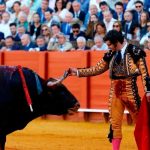 Torero limpia las lágrimas a un toro antes de matarlo (VIDEO) torero