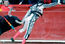 Torero ingresado de emergencia por cornada en la retaguardia