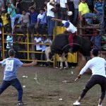 Nandaimeños viajan más de 60 kilómetros por el tope y monta de toros nicaragua