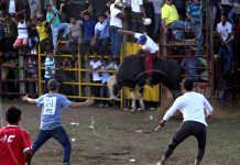 Nandaimeños viajan más de 60 kilómetros por el tope y monta de toros nicaragua