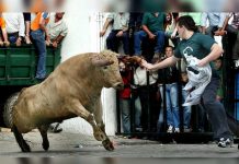 Un toro mata a un hombre en una tradicional fiesta de España