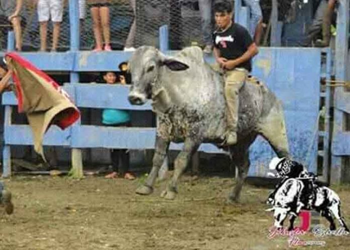 nicaragua, rivas, toro, accidente,