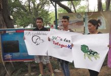 Realizan lanzamiento de campaña Yo amo las Tortugas Marinas en San Juan del Sur bluefields