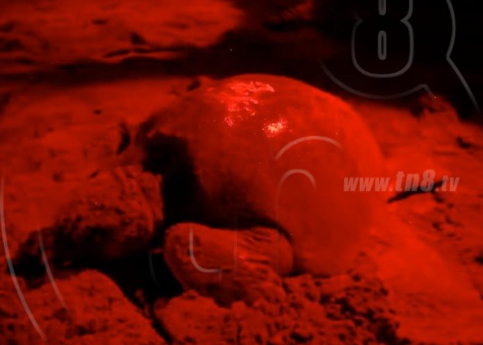 tortuguillo-nicaragua-2 nicaragua