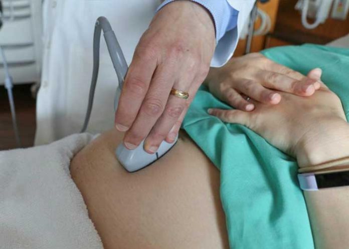 trans-_TSLyNjx estados unidos