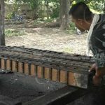 Ya huele dulce por la caña en los trapiches de Carazo nicaragua