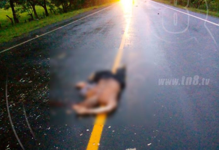 accidente de transito