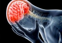 Científicos descubren cómo ‘se ve’ la tristeza en el cerebro estados unidos