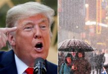 «¡Vuelve, calentamiento global!»: El tuit de Trump sobre el frío en EE.UU. alborota la Red estados unidos