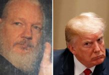 Trump dice ‘no se nada’ sobre WikiLeaks y Assange estados unidos