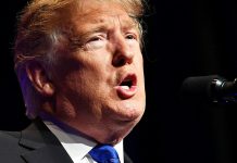 Trump anuncia acuerdo para reabrir temporalmente el gobierno estadounidense eeuu