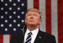 Investigan nominaciones fraudulentas de Trump al Nobel de la Paz donald trump
