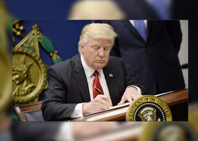 trump_XYhUUMm estados unidos