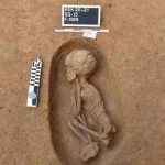 Hallan tumbas de la época predinástica egipcia en el delta del Nilo egipto, tumbas, arqueologia,