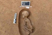egipto, tumbas, arqueologia,