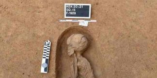 egipto, tumbas, arqueologia,