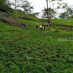 Comunidad La Letra, en Nueva Guinea, un gran destino turístico nicaragua