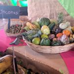 Variedad de frutas propias de verano a precios favorables nicaragua