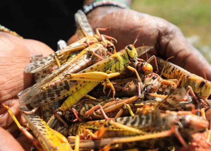 uganda-_HGtMjyN uganda