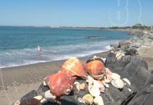 Turistas holandeses «Nicaragua es lo mejor que hemos visto desde que llegamos a América» nicaragua