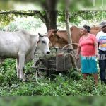 Familias de Nicaragua progresando con el Bono Productivo nicaragua