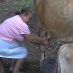 Bono productivo cambió la vida de mujer nandaimeña nicaragua