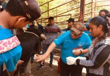 Chinandega: Estudiantes técnicos listos para el sector agropecuario nicaragua