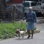 MINSA inicia Jornada de Vacunación Canina en León nicaragua