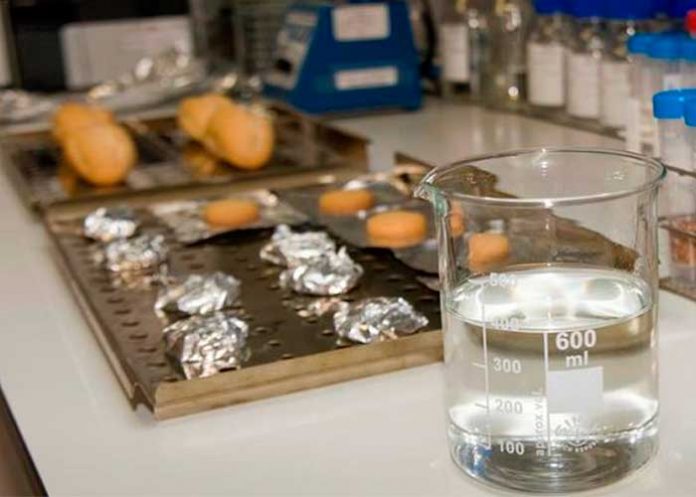 vacuna contra multiples cancer