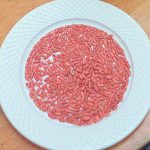 Perú: Mujer intenta asesinar a sus hijos con veneno para ratas veneno para ratas